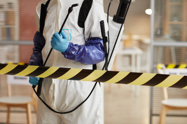 Professional Sewage Cleanup technician working in Earlimart, CA
